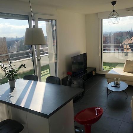 Apartmán La Terrasse Štrasburk Exteriér fotografie