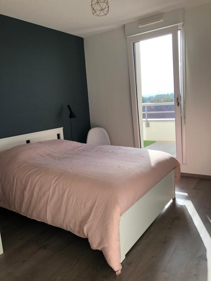 Apartmán La Terrasse Štrasburk Exteriér fotografie